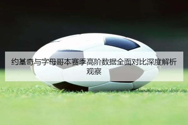 约基奇与字母哥本赛季高阶数据全面对比深度解析观察